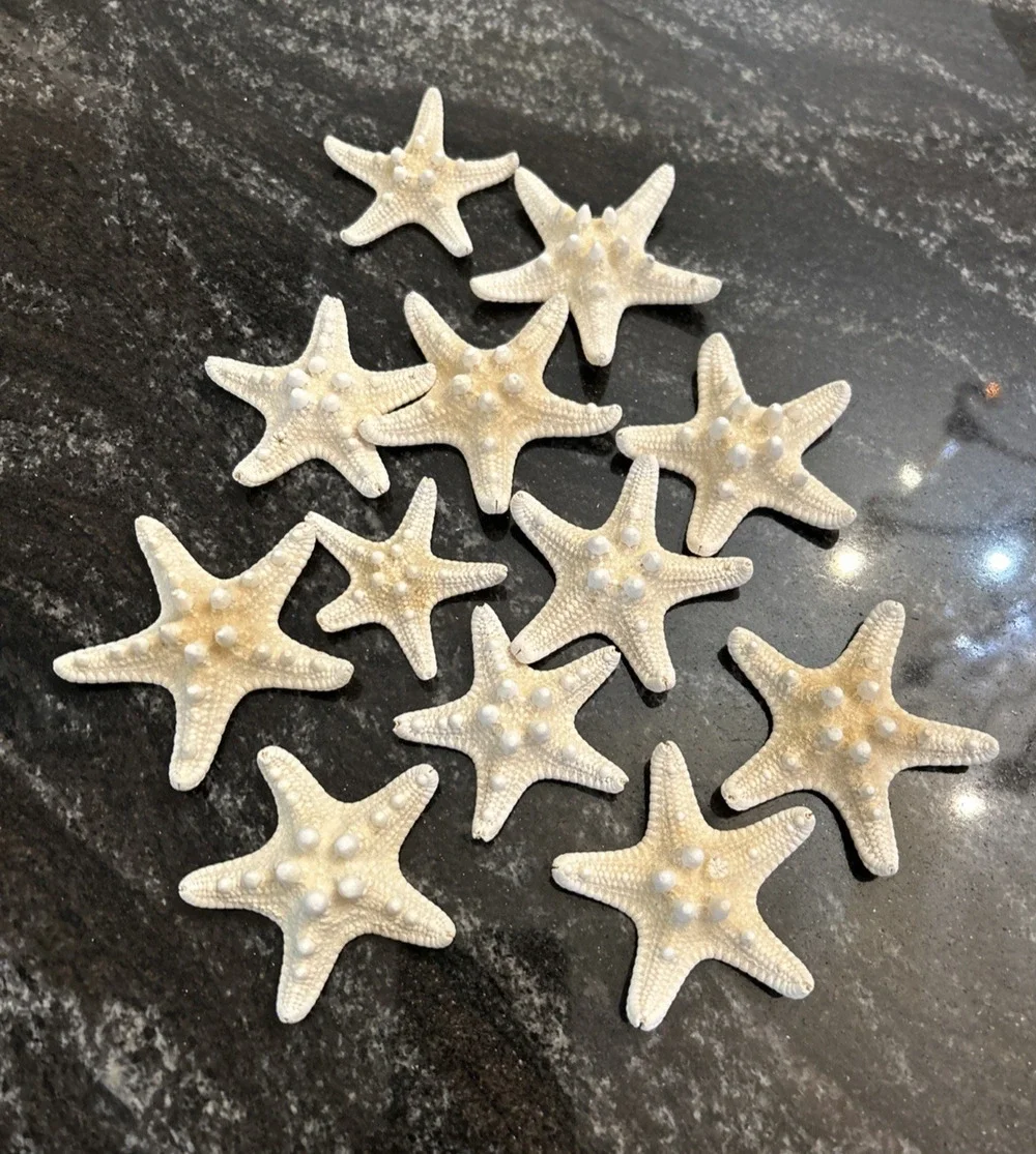 12- Small Knobby White Starfish 2”+ Beach Cottage Wedding Decor Nautical Crafts
